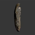 Ancient Ammonite Fossil With Spiral Shape And Brown Yellow Textured Surface