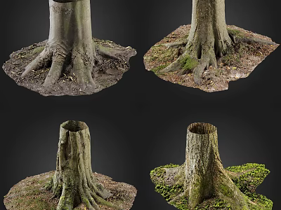 Wooden Tree Stumps With Exposed Roots And Mossy Soil In Different Angles 3d model