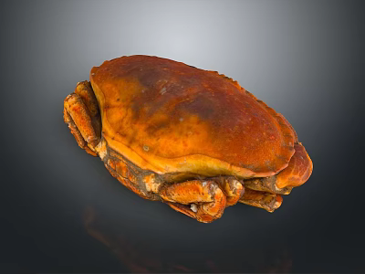 Orange Whole Crab With Shiny Shell Claws And Legs As Aquatic Animal 3d model Orange Whole Crab With Shiny Shell Claws And Legs As Aquatic Animal 3d model