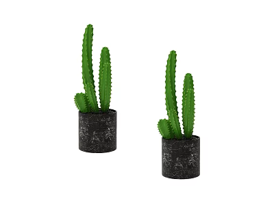 Two Green Spiky Cactus Potted Plants In Black Textured Pots 3d model