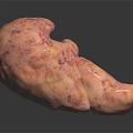 Realistic Human Liver Organ Anatomy Model With Detailed Texture And Pinkish Appearance