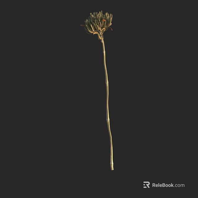 Single Elegant Flower Stem With Green Leaves On Black Background 3d model