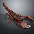 Realistic Brown Scorpion with Large Claws and Segmented Exoskeleton on Dark Surface 3d model