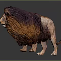 Detailed Realistic Lion With Majestic Brown Mane Standing On Dark Background