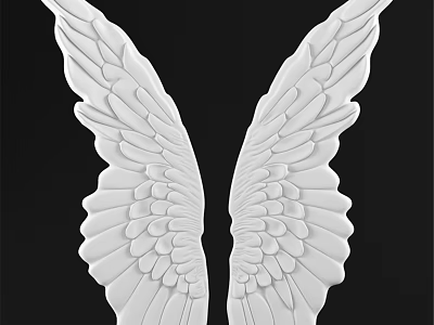 White Wing Shaped 3D Wall Decor With Elegant Design And Black Background 3d model