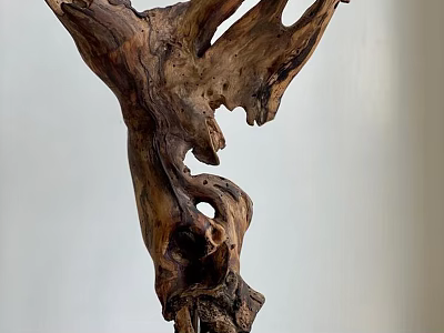 Unique Natural Driftwood Sculpture With Intricate Wooden Texture And Organic Shape 3d model