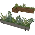 Decorative Wooden Garden Planter Boxes With Various Green Plants Ferns And Foliage