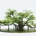 thousand-year-old tree big banyan tree arbor square tree giant tree 3d model