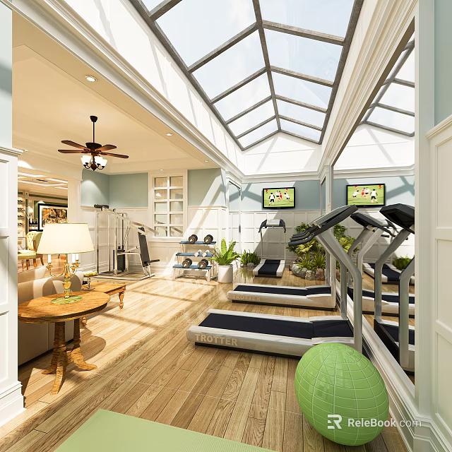 Home Gym With Glass Ceiling Wooden Floor Treadmills And Exercise Ball Plants 3d model 