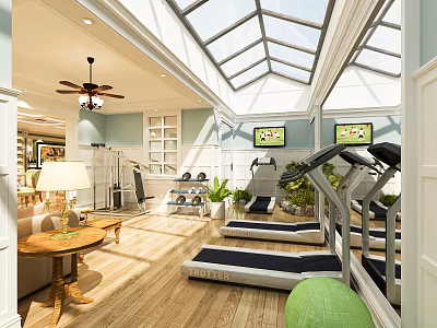 Home Gym With Glass Ceiling Wooden Floor Treadmills And Exercise Ball Plants 3d model