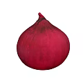 Fresh Red Onion Vegetable With Round Shape And Smooth Skin Texture