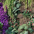 Green Plant Wall With Purple Flowers Hanging Vines And Diverse Green Plants On Stone Ground