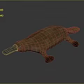 platypus red-tailed platypus leopard platypus 3d model