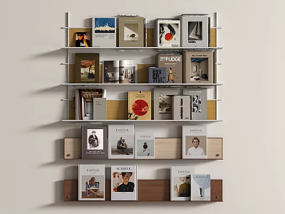 Books And Magazines On Multi Layered Shelf With Various Designed Covers And Modern Layout 3d model