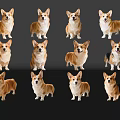 Various Reptile Individuals Displaying Diverse Postures On Black Reflective Background