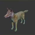 Realistic Wolf Standing Pose With Orange Brown Coat And White Belly On Dark Reflective Background