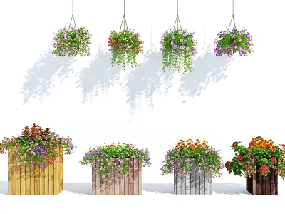Colorful Flowering Hanging Basket Plants With Lush Greenery For Indoor Decoration 3d model