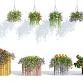 Colorful Flowering Hanging Basket Plants With Lush Greenery For Indoor Decoration