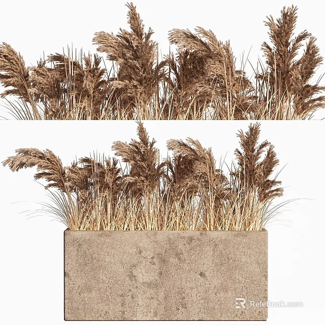 Decorative Ornament Set with Pampas Grass in Concrete Planter for Home Decor 3d model 