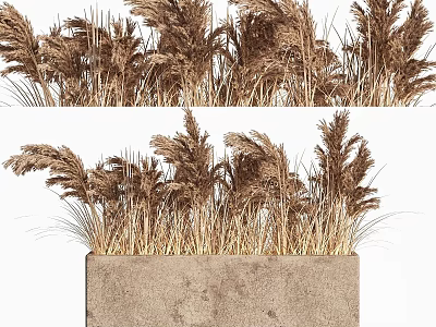 Decorative Ornament Set with Pampas Grass in Concrete Planter for Home Decor 3d model