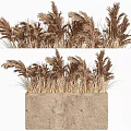 Decorative Ornament Set with Pampas Grass in Concrete Planter for Home Decor