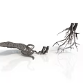 Metallic Crocodile Sculpture And Tree Root Structure On White Background For Decorative 3d model