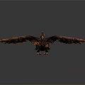 Flying Raptor with Orange Brown Feathers Spread Wings Sharp Talons and Gray Gradient Background 3d model