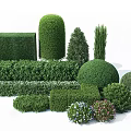 Variously Shaped Trimmed Shrubs for Garden Landscaping with Different Sizes and Flowering Plants