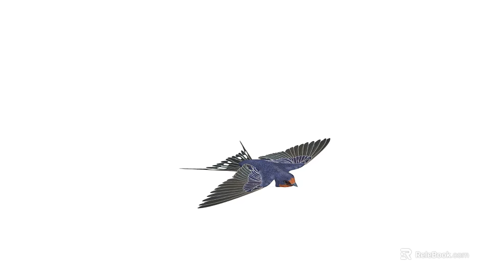 Flying Bird With Blue Feathers And Orange Throat Against White Background In Flight 3d model 