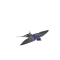 Flying Bird With Blue Feathers And Orange Throat Against White Background In Flight
