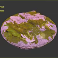 Assorted Grilled Meat Platter With Fresh Lettuce Onion Slices And Dipping Sauce On Slate Plate