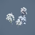 Snow Covered Arbor With White Snow On Branches In Beautiful Winter Scene
