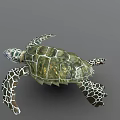 Green Sea Turtle With Patterned Carapace And Extended Flippers On Gray Background 3d model
