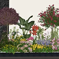 Vibrant Flower Garden With Purple Red Yellow Blooms And Green Foliage