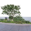 Flower Bed and Planter with Large Tree Colorful Flowers Decorative Stones and Paved Ground
