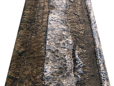 Municipal Road Asphalt Pavement With Detailed Surface Texture And Curb Edge 3d model