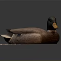 Brown Duck with Yellow Beak and Black Head on Wooden Board against Gray Background