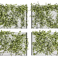 Green Vines Covering Wire Mesh Panels For Outdoor Decorative Screens