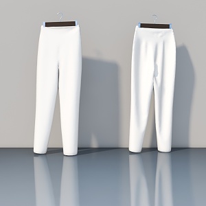 Clothing collocation 3d model