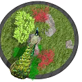 Beautiful Garden Ornament With Peacock On Stones Green Red Plants Grass And Brick Border