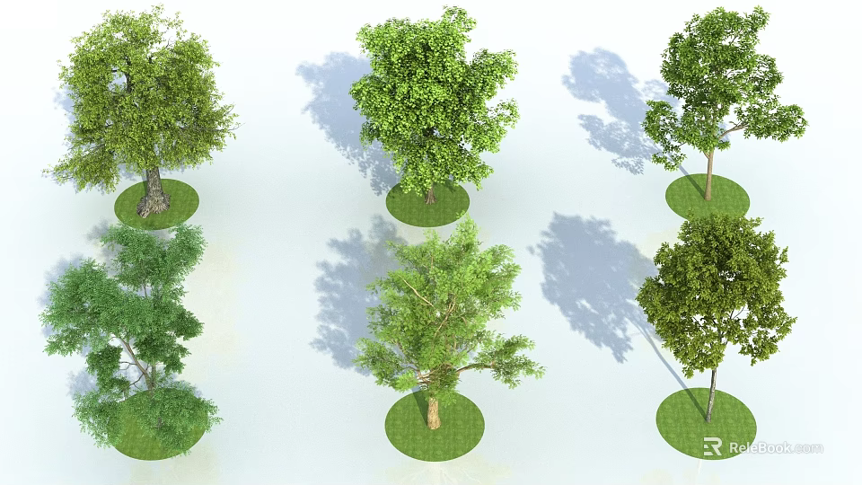 Various Trees with Green Leaves Trunks on Circular Grass Patches and Shadows 3d model 