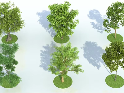 Various Trees with Green Leaves Trunks on Circular Grass Patches and Shadows 3d model