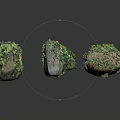 Green Plants Growing On Various Shaped Stones With Diverse Sizes And Textures