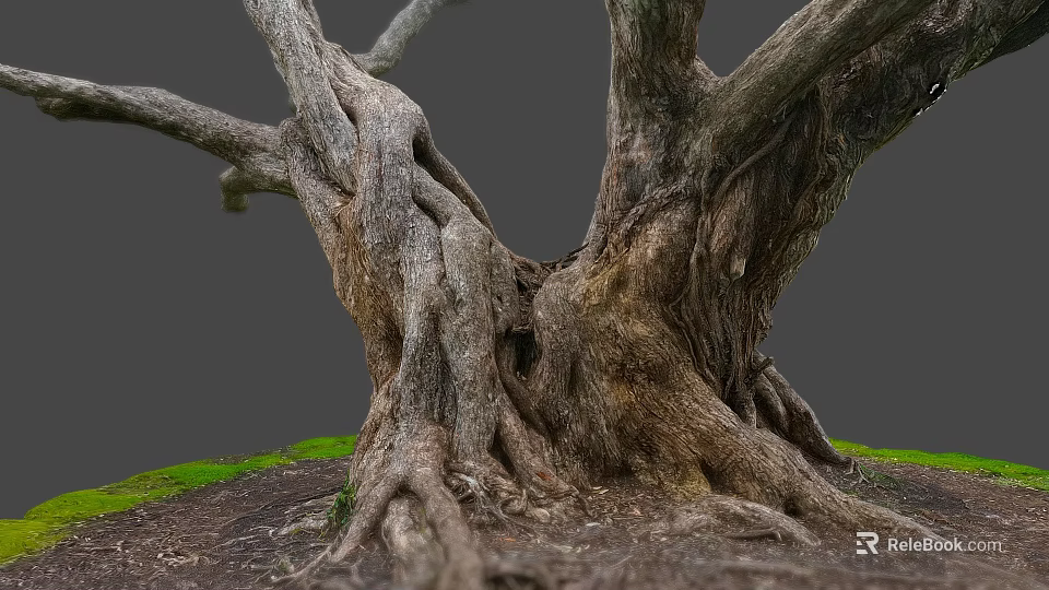 Detailed Rough Wood Texture Of Thick Old Tree Roots With Green Grass And Soil 3d model 