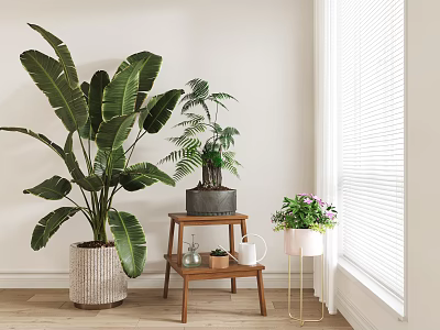 Bonsai Potted Plant In Indoor Space With Large Green Plants Wooden Side Table And Blinds 3d model