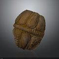 Orange Textured Turtle Shell Sculpture with Intricate Patterns On Dark Background