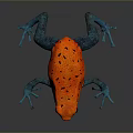 Vibrant Orange Reptile With Black Spots And Bright Blue Limbs On Dark Background