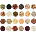 Organized Spice Jars with Assorted Legumes Grains in White Bowls Arranged Neatly