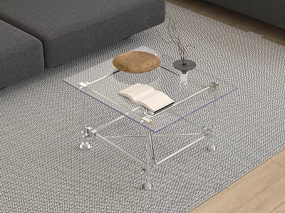 Clear Acrylic Coffee Table With Open Book Brown Cushion Dried Branch On Gray Patterned Rug 3d model