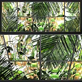 Stained Glass Partition Featuring Palm Leaves And Green Plant Patterns With Natural Light
